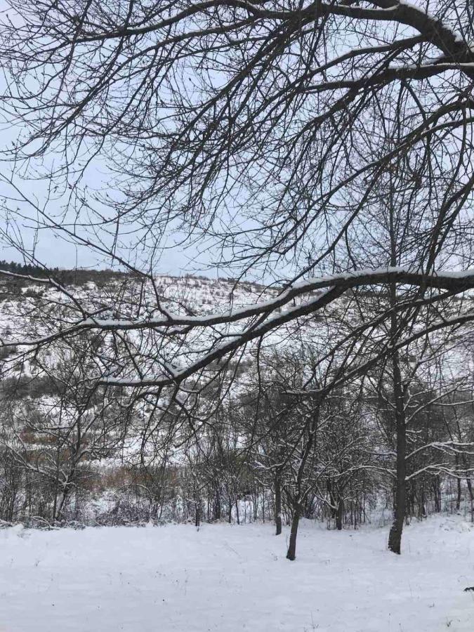 Korkostolo Vendeghazak Leilighet Aggtelek Eksteriør bilde